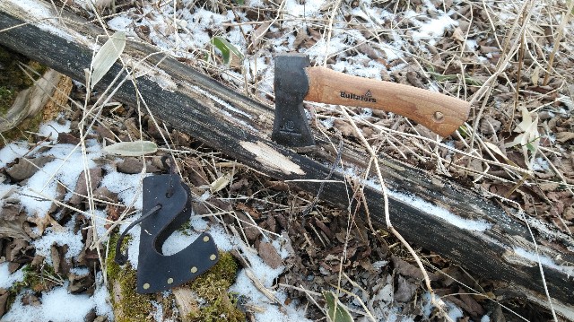 f:id:wanpaku-yaseiji:20200120123925j:image f:id:wanpaku-yaseiji:20200120123925j:image