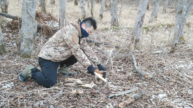 f:id:wanpaku-yaseiji:20200120124208j:image f:id:wanpaku-yaseiji:20200120124208j:image