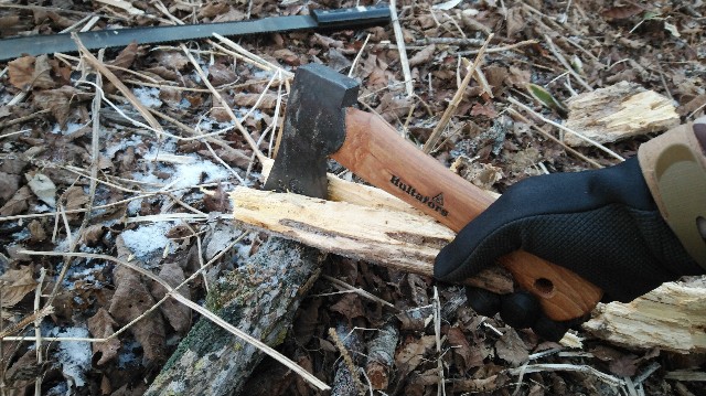 f:id:wanpaku-yaseiji:20200120124236j:image f:id:wanpaku-yaseiji:20200120124236j:image