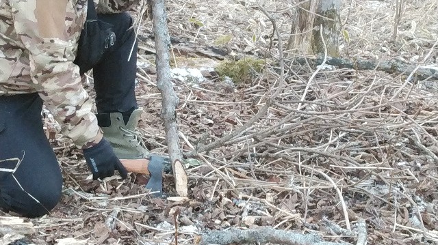 f:id:wanpaku-yaseiji:20200120124423j:image f:id:wanpaku-yaseiji:20200120124423j:image