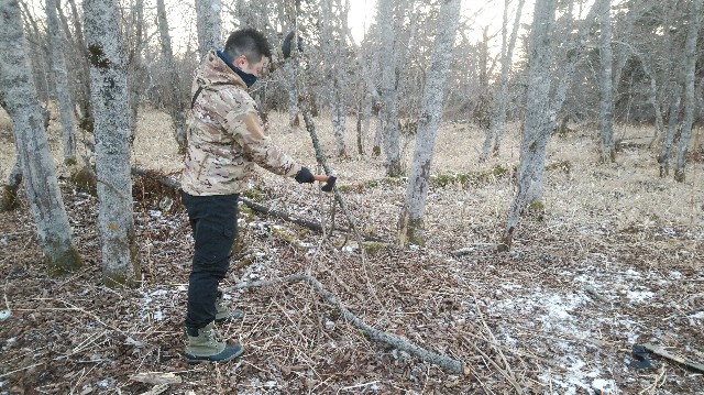 f:id:wanpaku-yaseiji:20200120223752j:image f:id:wanpaku-yaseiji:20200120223752j:image