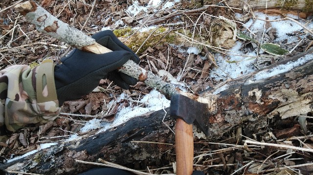 f:id:wanpaku-yaseiji:20200120230037j:image f:id:wanpaku-yaseiji:20200120230037j:image