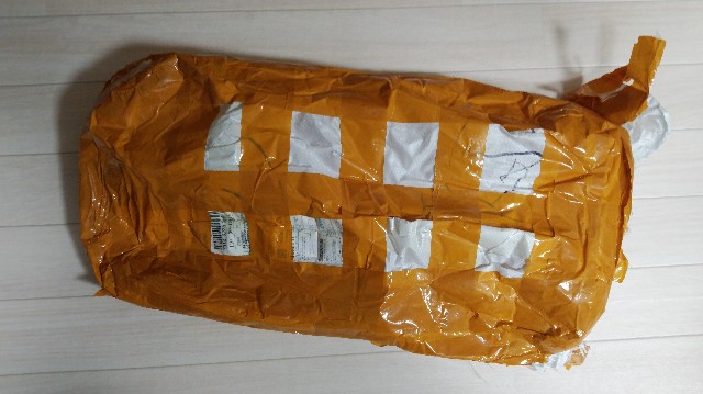 f:id:wanpaku-yaseiji:20200124012346j:image