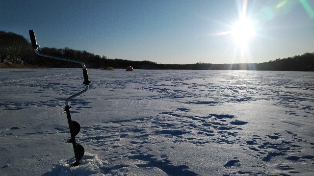 f:id:wanpaku-yaseiji:20200127120616j:image