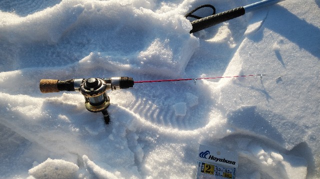 f:id:wanpaku-yaseiji:20200127123423j:image