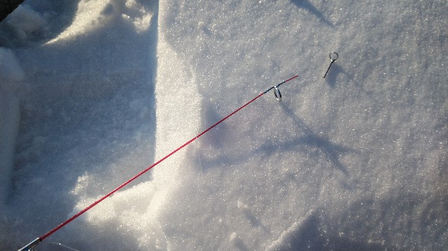 f:id:wanpaku-yaseiji:20200128001114j:image