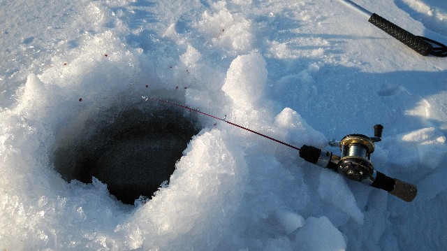 f:id:wanpaku-yaseiji:20200128002429j:image