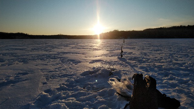 f:id:wanpaku-yaseiji:20200128005623j:image