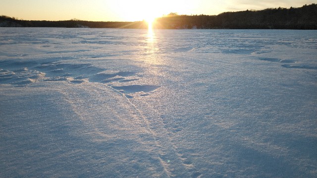 f:id:wanpaku-yaseiji:20200128011607j:image