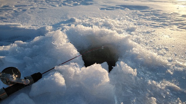 f:id:wanpaku-yaseiji:20200128011627j:image