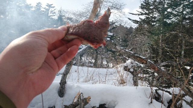 f:id:wanpaku-yaseiji:20200226235629j:image f:id:wanpaku-yaseiji:20200226235629j:image