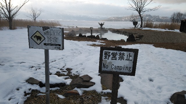 f:id:wanpaku-yaseiji:20200227014249j:image f:id:wanpaku-yaseiji:20200227014249j:image