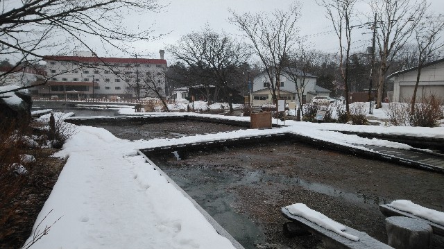 f:id:wanpaku-yaseiji:20200317123712j:image f:id:wanpaku-yaseiji:20200317123712j:image