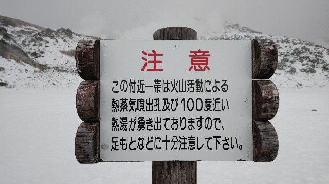 f:id:wanpaku-yaseiji:20200317234155j:image f:id:wanpaku-yaseiji:20200317234155j:image