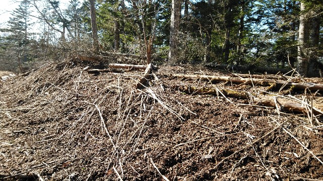 f:id:wanpaku-yaseiji:20200324023645j:image f:id:wanpaku-yaseiji:20200324023645j:image