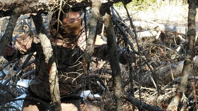 f:id:wanpaku-yaseiji:20200324024925j:image f:id:wanpaku-yaseiji:20200324024925j:image