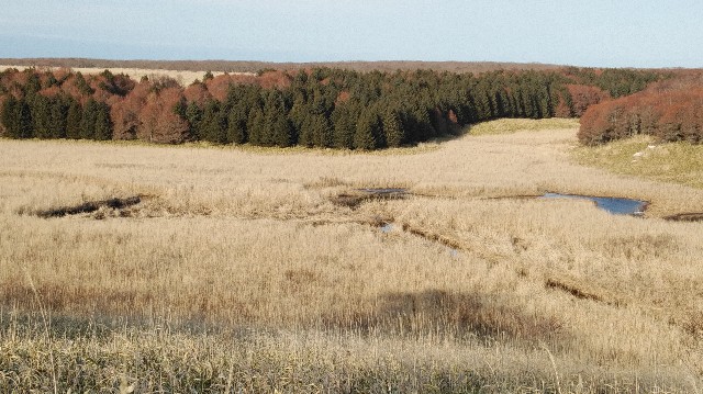 f:id:wanpaku-yaseiji:20200324032843j:image f:id:wanpaku-yaseiji:20200324032843j:image