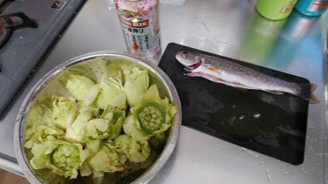 f:id:wanpaku-yaseiji:20200328023251j:image