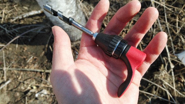 f:id:wanpaku-yaseiji:20200415004707j:image