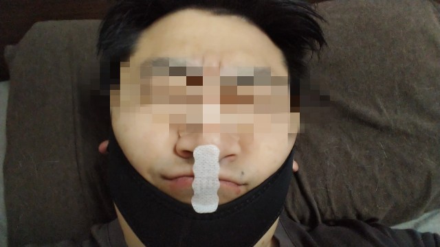 f:id:wanpaku-yaseiji:20200513211858j:image f:id:wanpaku-yaseiji:20200513211858j:image