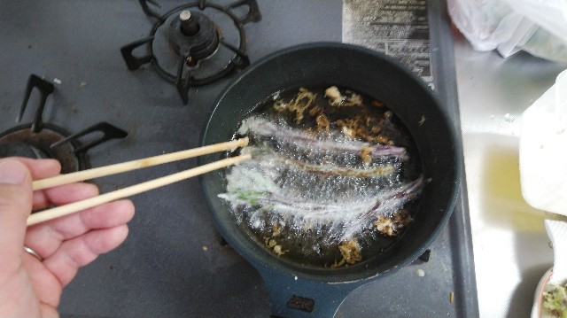 f:id:wanpaku-yaseiji:20200515123400j:image f:id:wanpaku-yaseiji:20200515123400j:image
