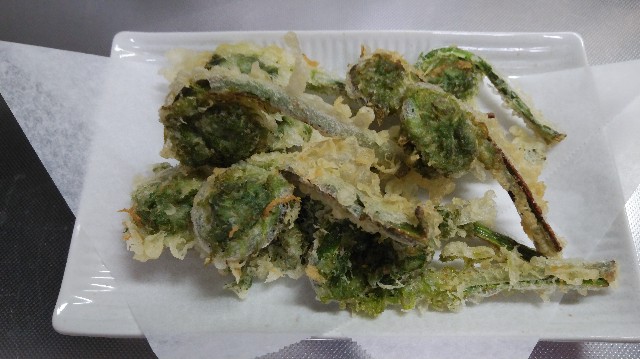 f:id:wanpaku-yaseiji:20200529124310j:image f:id:wanpaku-yaseiji:20200529124310j:image