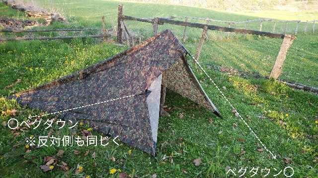 f:id:wanpaku-yaseiji:20200602030246j:image f:id:wanpaku-yaseiji:20200602030246j:image