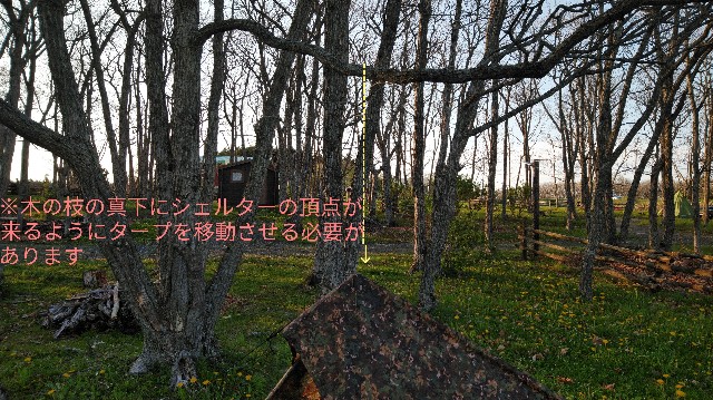 f:id:wanpaku-yaseiji:20200602030317j:image f:id:wanpaku-yaseiji:20200602030317j:image