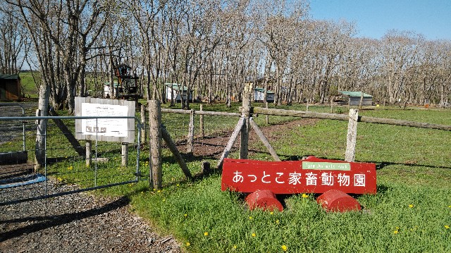 f:id:wanpaku-yaseiji:20200603021127j:image f:id:wanpaku-yaseiji:20200603021127j:image