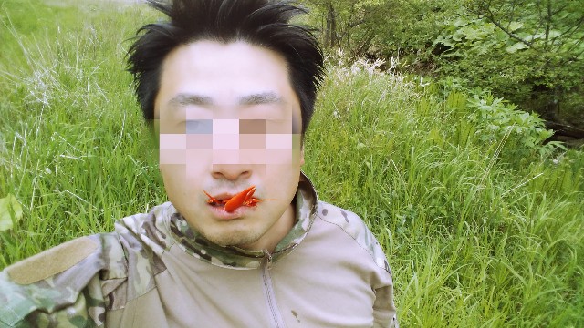 f:id:wanpaku-yaseiji:20200617005217j:image f:id:wanpaku-yaseiji:20200617005217j:image