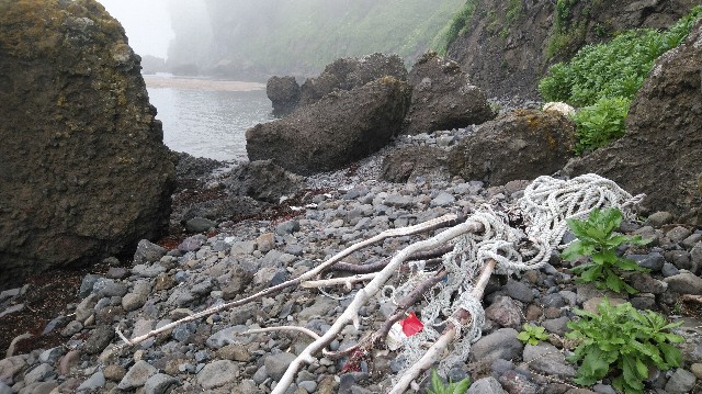 f:id:wanpaku-yaseiji:20200715174357j:image f:id:wanpaku-yaseiji:20200715174357j:image