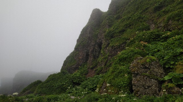 f:id:wanpaku-yaseiji:20200715174758j:image f:id:wanpaku-yaseiji:20200715174758j:image