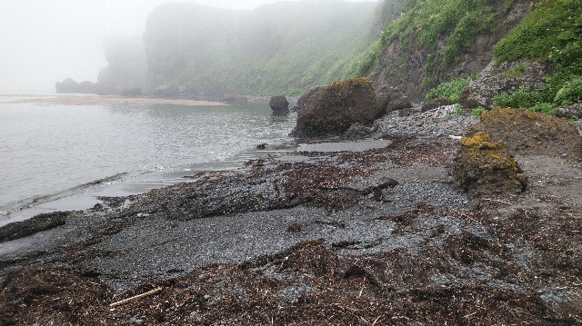 f:id:wanpaku-yaseiji:20200715190535j:image f:id:wanpaku-yaseiji:20200715190535j:image