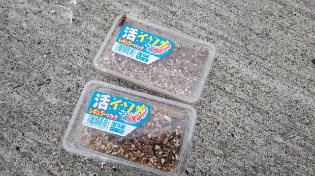 f:id:wanpaku-yaseiji:20200825122058j:image f:id:wanpaku-yaseiji:20200825122058j:image