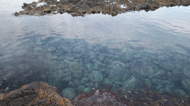 f:id:wanpaku-yaseiji:20201008011954j:image f:id:wanpaku-yaseiji:20201008011954j:image
