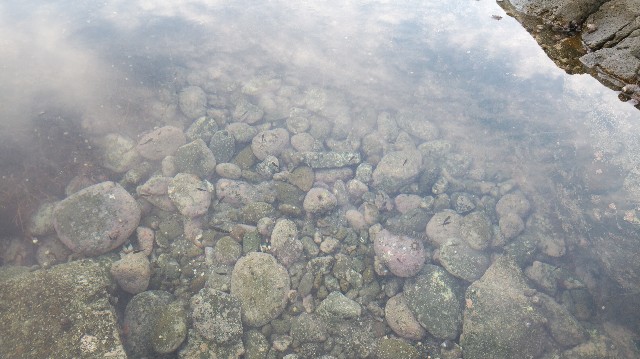 f:id:wanpaku-yaseiji:20201008014206j:image f:id:wanpaku-yaseiji:20201008014206j:image