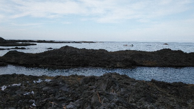 f:id:wanpaku-yaseiji:20201009184140j:image f:id:wanpaku-yaseiji:20201009184140j:image