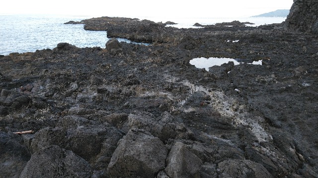 f:id:wanpaku-yaseiji:20201009184349j:image f:id:wanpaku-yaseiji:20201009184349j:image