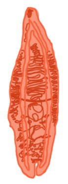 f:id:wanpaku-yaseiji:20201127234915j:image f:id:wanpaku-yaseiji:20201127234915j:image