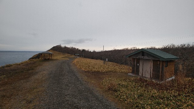 f:id:wanpaku-yaseiji:20201205011920j:image f:id:wanpaku-yaseiji:20201205011920j:image