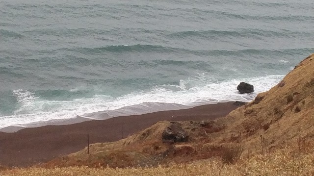 f:id:wanpaku-yaseiji:20201207122307j:image f:id:wanpaku-yaseiji:20201207122307j:image