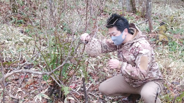 f:id:wanpaku-yaseiji:20201207124030j:image f:id:wanpaku-yaseiji:20201207124030j:image