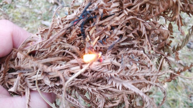 f:id:wanpaku-yaseiji:20201217023239j:image f:id:wanpaku-yaseiji:20201217023239j:image