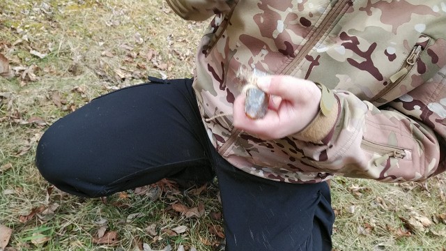 f:id:wanpaku-yaseiji:20201218122302j:image f:id:wanpaku-yaseiji:20201218122302j:image