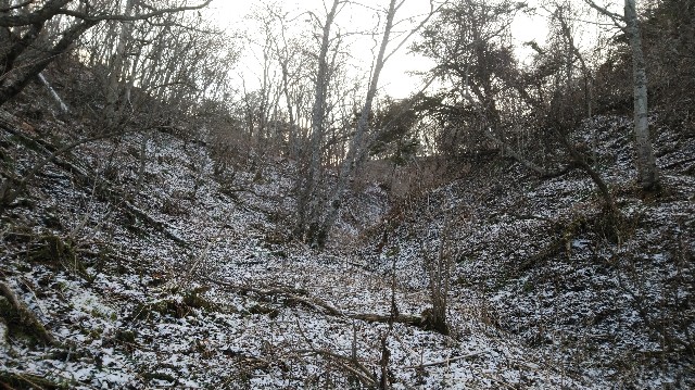f:id:wanpaku-yaseiji:20201228122629j:image f:id:wanpaku-yaseiji:20201228122629j:image
