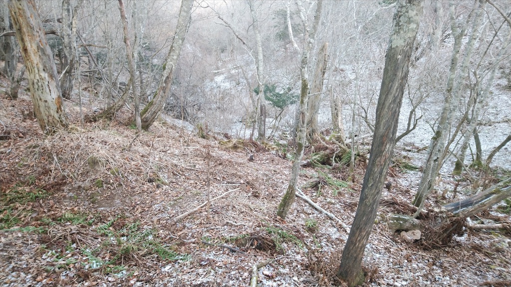 f:id:wanpaku-yaseiji:20210125200953j:image f:id:wanpaku-yaseiji:20210125200953j:image