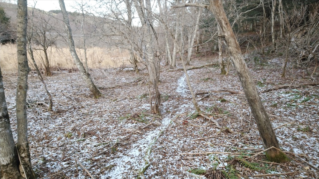 f:id:wanpaku-yaseiji:20210125201629j:image f:id:wanpaku-yaseiji:20210125201629j:image