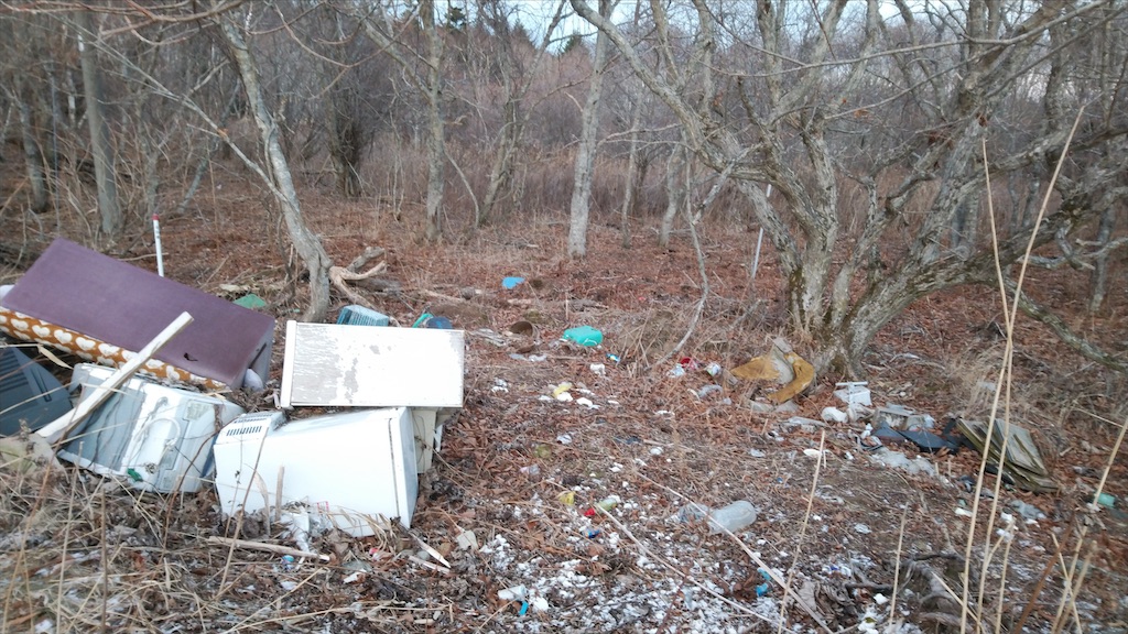 f:id:wanpaku-yaseiji:20210129193806j:image f:id:wanpaku-yaseiji:20210129193806j:image