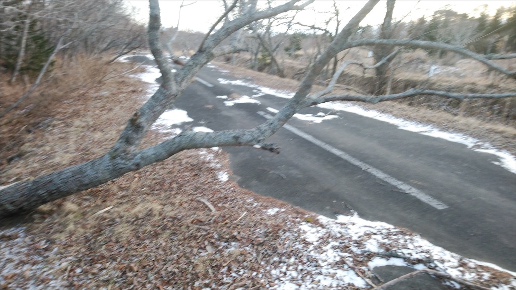 f:id:wanpaku-yaseiji:20210129194534j:image f:id:wanpaku-yaseiji:20210129194534j:image