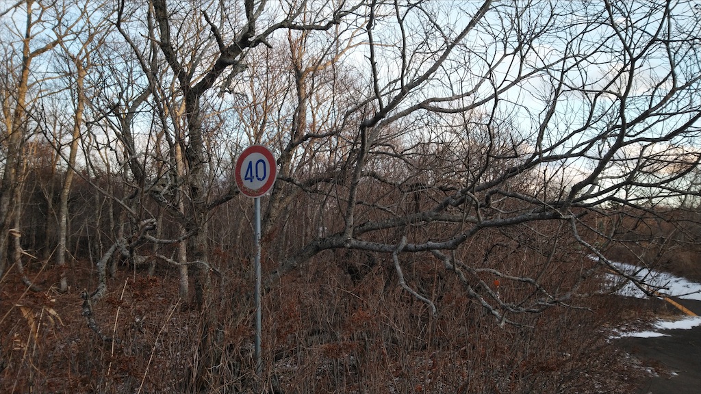 f:id:wanpaku-yaseiji:20210129194938j:image f:id:wanpaku-yaseiji:20210129194938j:image